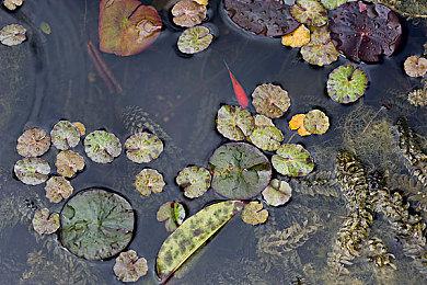 徐静雨、BBC梦幻联动直播首秀 年度人气地图见证最帅瞬间